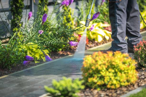 Professional  Pressure Washing Services in Drum Point, MD
